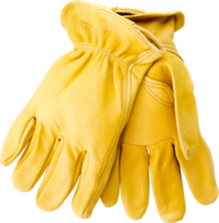 Picture for category Unlined Deerskin Drivers Glove