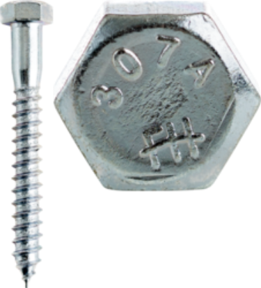 Picture of Lag Screw