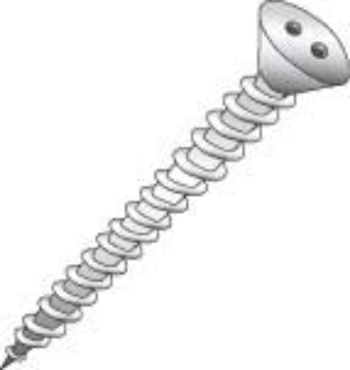 Picture of Sheet Metal Screw