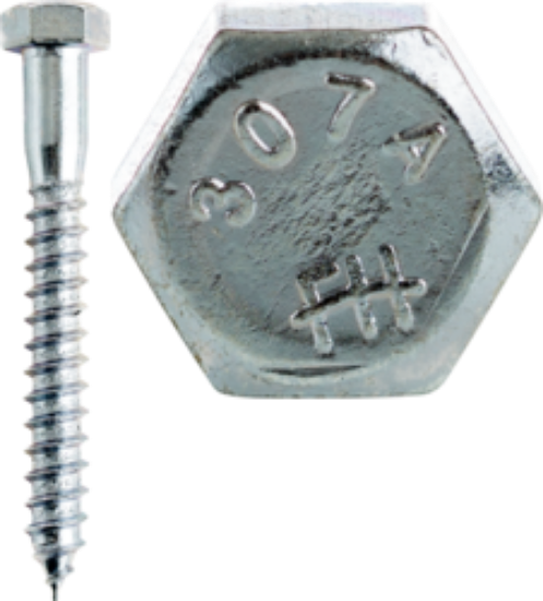 Picture of Lag Screw