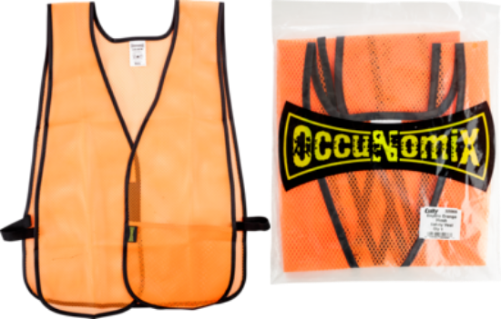 Picture of Safety Vest