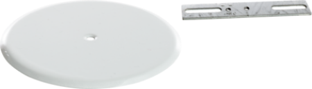 Picture for category Ceiling Plate