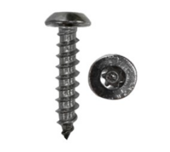 Picture of Tamperproof Sheet Metal Screw