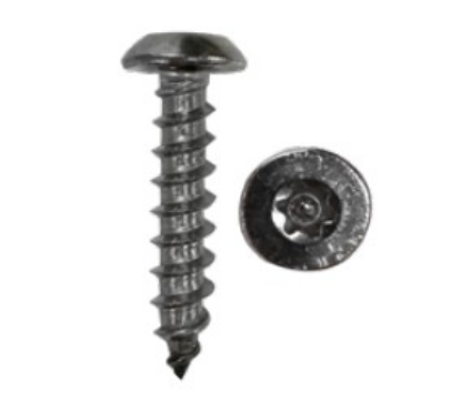 Picture of Tamperproof Sheet Metal Screw